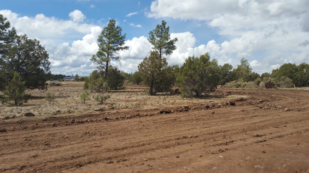 LuxTiny - Tiny Home Community Road Development in Lakeside, Arizona ...